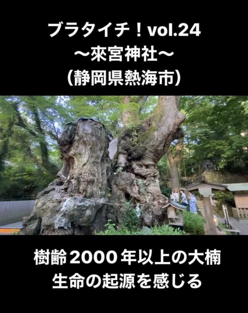 『來宮神社』(静岡県熱海市)