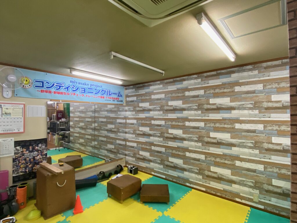 miyasako project reborn