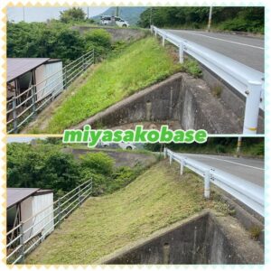 道路法面の斜面の草も刈る